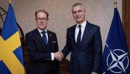 NATO Secretary General Jens Stoltenberg with the Minister of Foreign Affairs of Sweden, Tobias Billström. Photo: NATO