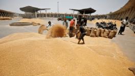 Foodgrain Production Rising, But Procurement, PDS in Doldrums