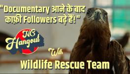 Teaser | NC Hangout Ft. Wildlife Rescue Team | All That Breathes | The Kite Brothers