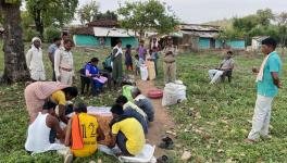 This is the first time that the villagers of Betul district are dealing with such a large order for mahua flowers (Photo - Nandkishor Pawar, 101Reporters)