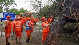 NDRF personnel clear trees uprooted following the landfall of Cyclone Biparjoy, in Gujarat. The intensity of cyclone Biparjoy which lashed the Saurashtra-Kutch region has reduced from 'very severe' to 'severe' category hours after making landfall in coastal areas of Gujarat. 