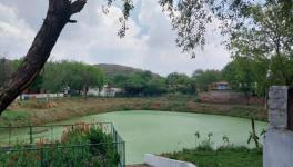 A view of pond in Hariahera village, Sohna Block, Gurugram (Photo - Deepanwita Gita Niyogi, 101Reporters).