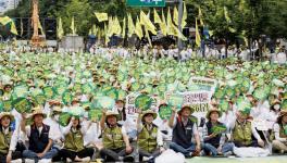 health workers in Korea