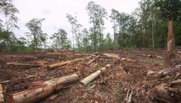 Environment
