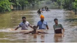 A flooded locality in Patiala, Punjab. (PTI Photo)