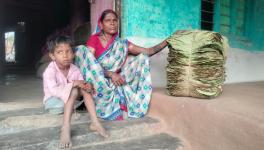 MP: Forest Fires Threaten Livelihoods of 'Dona-Pattal' Makers in Betul