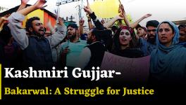 Kashmiri Gujjar-Bakarwal: A Struggle for Justice