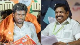 AIADMK Splits With BJP Over Annamalai Comments