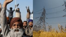 Madhya Pradesh Power Crisis Sparks Farmer Protests 