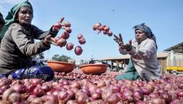 Maharashtra: Nashik Onion Traders on Indefinite Strike Over Export Duty Hike