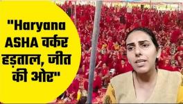 asha workers protest in haryana