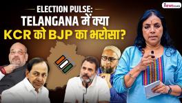 Telangana elections/Bhasha Singh