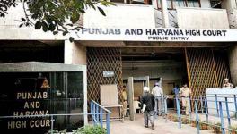 The Punjab and Haryana HC granted bail to a man accused under UAPA of planning to commit terrorist acts based on relations with Pakistan.