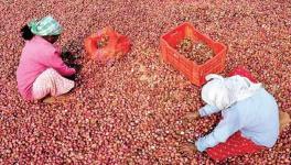 The Centre's abrupt embargo on onion exports has sparked uproar among the farming community.  