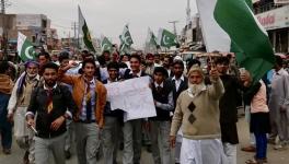 Pakistan Kissan Ittehad protest. Photo: PKI