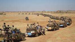 Rapid Support Forces (RSF) on a patrol as part of "border protection". Photo: RSF Website