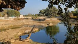 A traditional Johad in the Thar Desert — a centuries-old community water reservoir that continues to sustain life in Rajasthan’s arid landscape (Photo - Sharvan Kumar, 101Reporters)