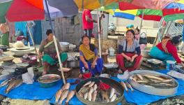 Debla Okram (middle) selling fish (Photo - Ngangom Suraj, 101Reporters).