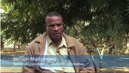 Nelson Mudzingwa.png