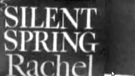 Rachel Carson.png
