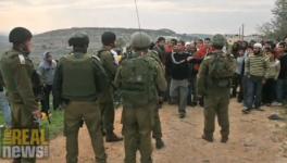 Screen shot 2010-02-01 at 5.38.35 PM.png