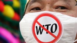 WTO Protest.jpg