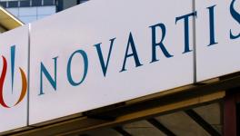 novartis7.jpg