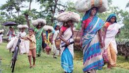 Telangana High Court: State Govt. Should Provide Proper Rehabilitation Facilities to Evicted Adivasi Families from Reserve Forest Area 