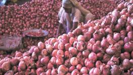 Onion Prices Shoot up Again