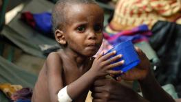 India malnutrition