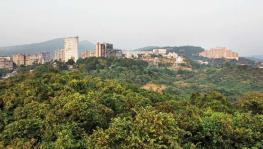 'Aarey' to be Declared a Forest but No Clarity on Remaining Land
