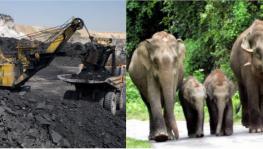 elephant coal mining.
