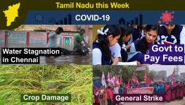 TN This Week: Cyclone Nivar Causes Severe Crop Damages, North Chennai Residents Allege Neglect, Over 50,000 Detained During Nov 26 Strike