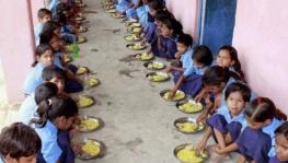 What Lessons Can We Learn From Strategies to Deliver Meals to School Children During COVID-19 in India and the USA?