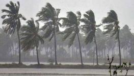 Tamil Nadu: Cyclone Nivar Brings Heavy Rain, Low Lying Areas Submerged