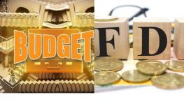 Budget FDI