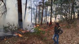 Menace of Forest Fires Continues in Uttarakhand 