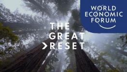 The Great Reset: Davos Playbook for Post-COVID World
