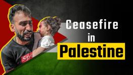 Palestinian Resistance Will Intensity