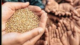 Right to Food Campaign Condemns Foodgrain Exports, Demands Universalisation of PDS Amid COVID-19 Surge