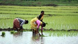 Telangana: Farmers Protest Delay in Crop Procurement, Lack of Crop Insurance
