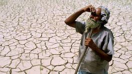 North Maharashtra Awaits Rain, Farmers Worried about Possible Drought