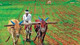 TN Agriculture Budget: Farmers disappointed despite welcome measures