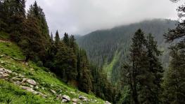 Need for More Knowledge to Conserve Himalayan Ecosystem
