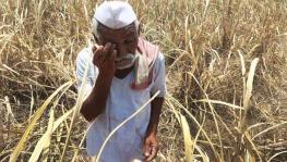 India Recorded 1.53 Lakh Suicides in 2020, Over 10,000 in Farm Sector Alone