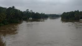 Heavy Rains Lash South Tamil Nadu