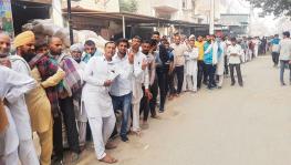 DAP Shortage Continues in Himachal Pradesh and Haryana, Allocations From Centre Still Short