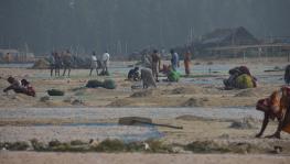 Villagers engaged in drying and sorting of fish.