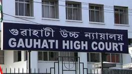 Gauhati HC extends interim protection to 244 families facing eviction in Assam