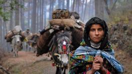 Locating agency – interrogating ‘adhikaar’ of Van Gujjar women at Rajaji National Park, Uttarakhand